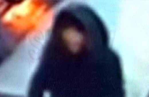 Mersin'de DEAŞ'ın iki 'karadul' canlı bombası yakalandı