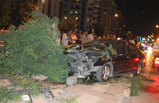 Manisa’da kaldırıma çıkan otomobil 5 ağacı devirerek durabildi