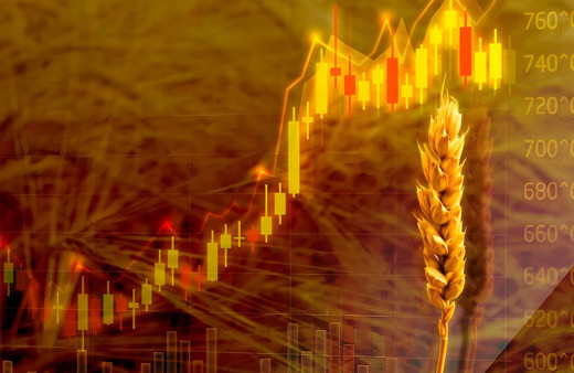 BM'den kritik uyarı: Kıtlık ve zorunlu kitlesel göç yaşanabilir