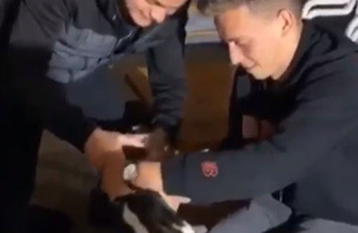 Bursa'da sokakta köpeğe zorla alkol içirip sosyal medyada paylaştılar!