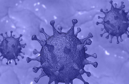 48 bin 500 yaşında virüs ortaya çıktı!