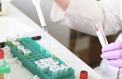 ECDC, AB ülkelerindeki maymun çiçeği vaka sayısını düzeltti