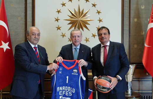 Cumhurbaşkanı Erdoğan, Anadolu Efes'i kabul etti