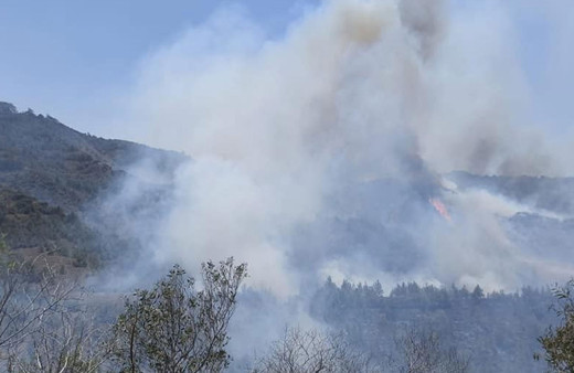 Arazide başladı ormanlık alana sıçradı! Türkiye de söndürme helikopteri gönderecek