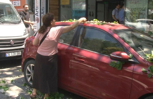 Kadıköy'de otomobilin üzerine devrilen ağaçtan dut topladılar