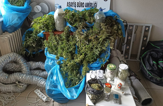 Ankara’da evinin balkonunda esrar yetiştiren şüpheli yakalandı