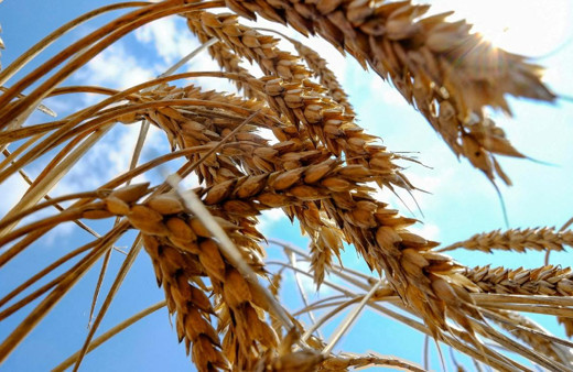 Karadeniz'de güvenli koridor! Savaş sonrası kilitlenen ticareti Türkiye açacak