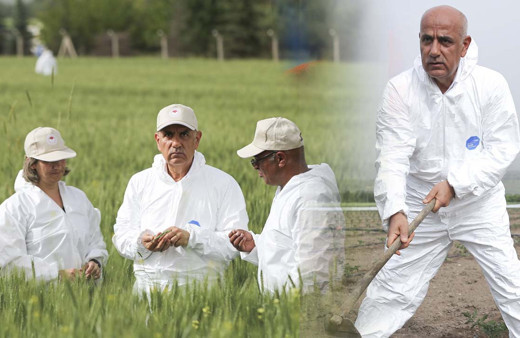 Dünya buğday krizinde Türkiye sıkıntı yaşayacak mı? Bakan Kirişçi çapayı aldı açıklama yaptı