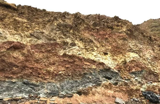 Avrupa'nın 'en büyük' kara dinozoru fosili İngiltere'de keşfedildi