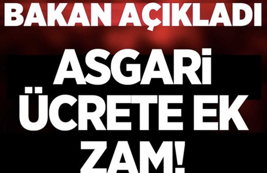 Çalışma Bakanı Vedat Bilgin'den Temmuz'da emekli, asgari ücretli ve memura zam müjdesi