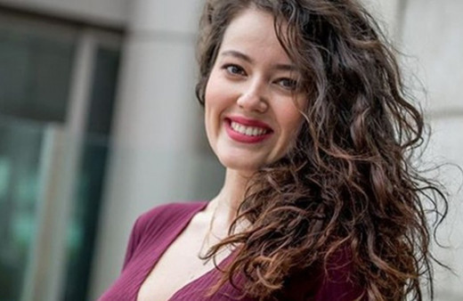 Hakaret içerikli mesaj göndermişti! Pelin Akil o takipçisiyle davalık oldu