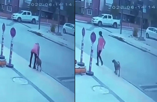 Çorum'da kayıp Elif Akıllı'nın ölmeden önceki son görüntüsü bir köpeği...