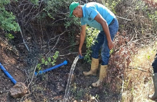 Manisa'da su kanalından çıkan 2 metrelik kunduz görenleri şok etti: 'Bu nasıl kunduz?'