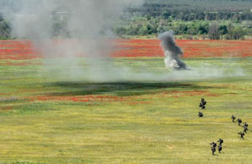 Afrika'nın en büyük tatbikatı 'Afrika Aslanı 2022' başladı
