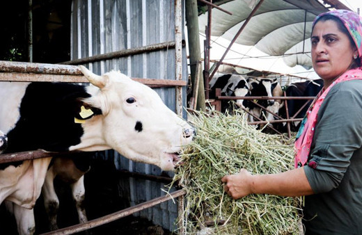 Evde canı sıkılınca bu işe başladı şimdi paraya para demiyor
