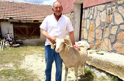 Eskişehir'de satılan koç 5 gün sonra 30 kilometre 4 köy aşıp eski sahibine döndü
