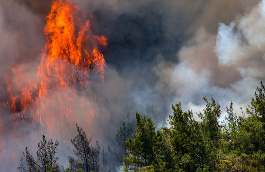 Marmaris'teki orman yangınıyla ilgili soruşturma başlatıldı