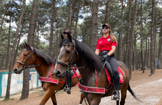 İstanbul'da orman yangınlarına karşı önleyici denetimler yapıldı