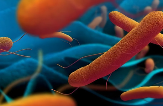 Yeni bir salgın tehdidi mi? Yılda 100 bin ölüme neden oluyor