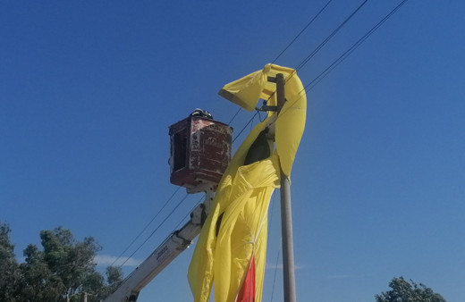 Paraşüt keyfi faciayla sonlandı! Kopan elektrik telleri zeytin bahçesini yaktı
