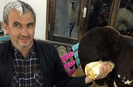 Görenler şaşkına dönüyor! Bu kadar büyüğü daha önce hiç görülmedi