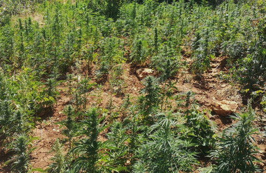 PKK'nın finans kaynakları kurutuluyor! Bir günde milyonlarcası ele geçirildi