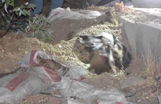 Bodrum’da vahşi cinayet! Kum dolu çuvalın içinden ceset çıktı