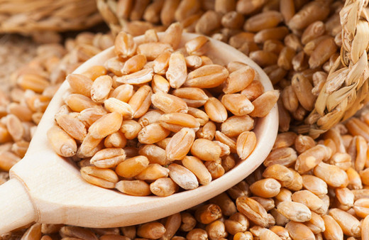 TMO hububat alım fiyatları güncellendi buğdayda ton başına 400 TL artırıldı