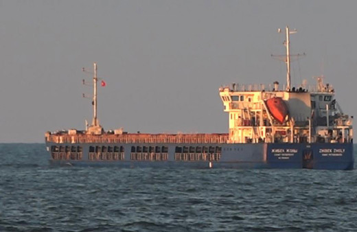 Türkiye tahıl yüklü Rusya gemisine el koydu! Ukrayna büyükelçisi söyledi