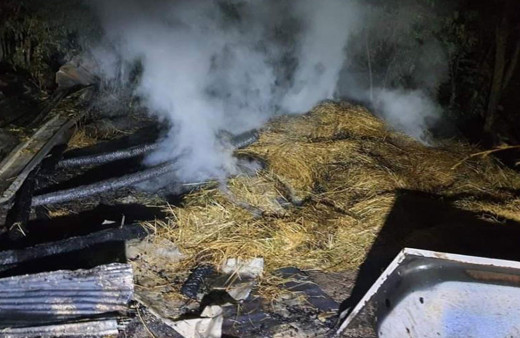 Ahırda çıkan yangın, satışı tamamlanan 10 kurbanlık hayvanı telef etti