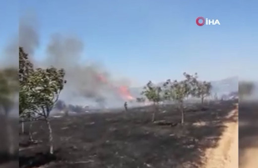 Çanakkale'de orman yanıyor! Rüzgar da çok fena işte son durum