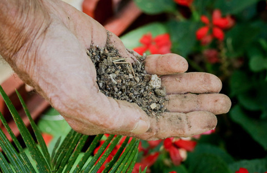 Koronavirüs şüphelisi yarasalardan elde edildi Düden Şelalesi bambaşka bir hale dönüştü