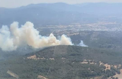 Bodrum'da korkutan orman yangını