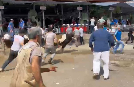 Pendik’te sahibinin elinden kaçan kurbanlık dana ortalığı birbirine kattı