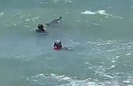 Yavrusu ölü doğan yunus kendini karaya vurdu