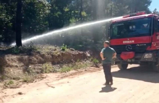 İstanbul Aydos Ormanı'nda yangın! Ekipler hemen müdahale etti