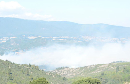 Balıkesir'de orman yangın! Havadan ve karadan müdahale devam ediyor