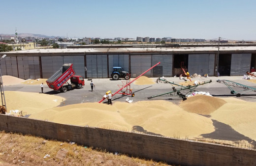 Türkiye buğdayını alıp çürümeye mi bırakıyorlar? Ortalığı karıştıran bomba iddia