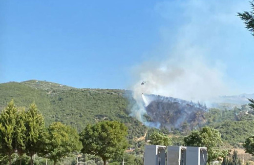 Aydın’da orman yangını: Karadan ve havadan müdahale ediliyor