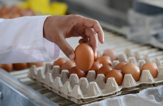 Yumurtaya yüzde 50 zam geldi! Rekor fiyat artışıyla koli fiyatı 50 liraya dayandı