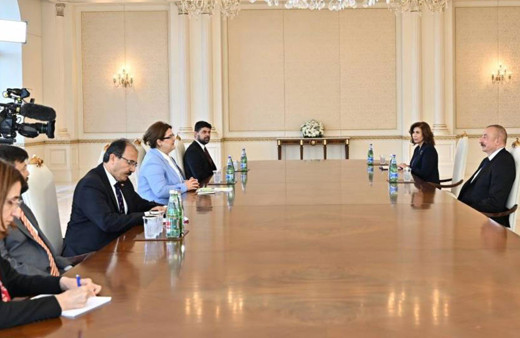 Azerbaycan Cumhurbaşkanı Aliyev Bakan Yanık’ı kabul etti