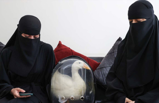 İçişleri Bakanlığı ördeklere sahip çıktı Bahçeşehir'de çalmakla suçlanmışlardı