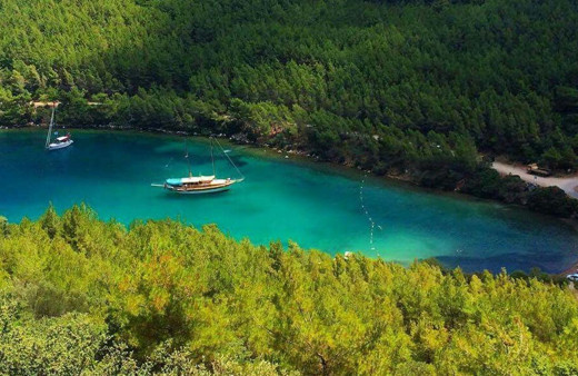 Bodrum Cennet Koyu iddiaları! Cengiz İnşaat villa ve otel dikiyor imarımız var diyorlar