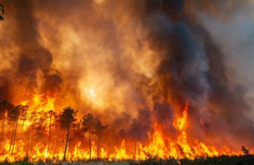 Fransa'da yangın 10'uncu gününde hala devam ediyor