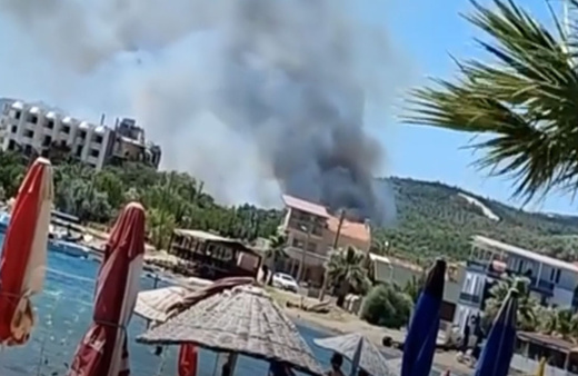 İzmir Seferihisar'da orman yangını! Havadan ve karadan müdahale sürüyor