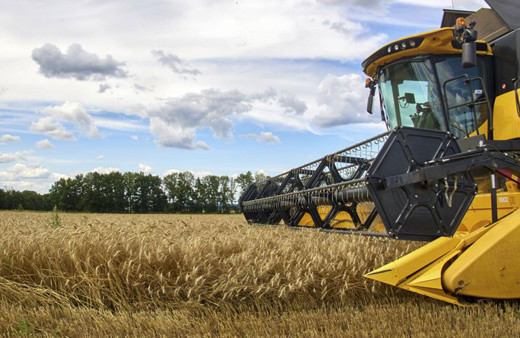 BM'den tahıl sevkiyatı açıklaması! Gemiler için ayrıntılı prosedürler yayınlanacak