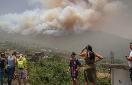 Avrupa'daki orman yangınları 15 yıllık ortalamanın yaklaşık 4 katına çıktı