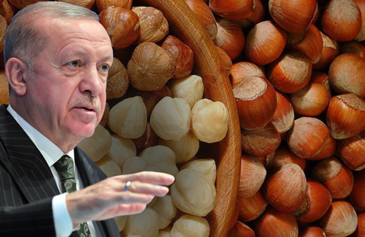 2022 fındık fiyatlarını Cumhurbaşkanı Erdoğan açıklıyor! CHP'nin taban teklifi ne?
