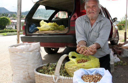 Cumhurbaşkanı Erdoğan bugün açıklayacak! Fındık bakın kaç liradan satışa başlandı?