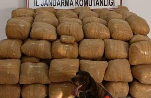 Bakan Soylu duyurdu Van'da 700 kilo esrar ele geçirildi